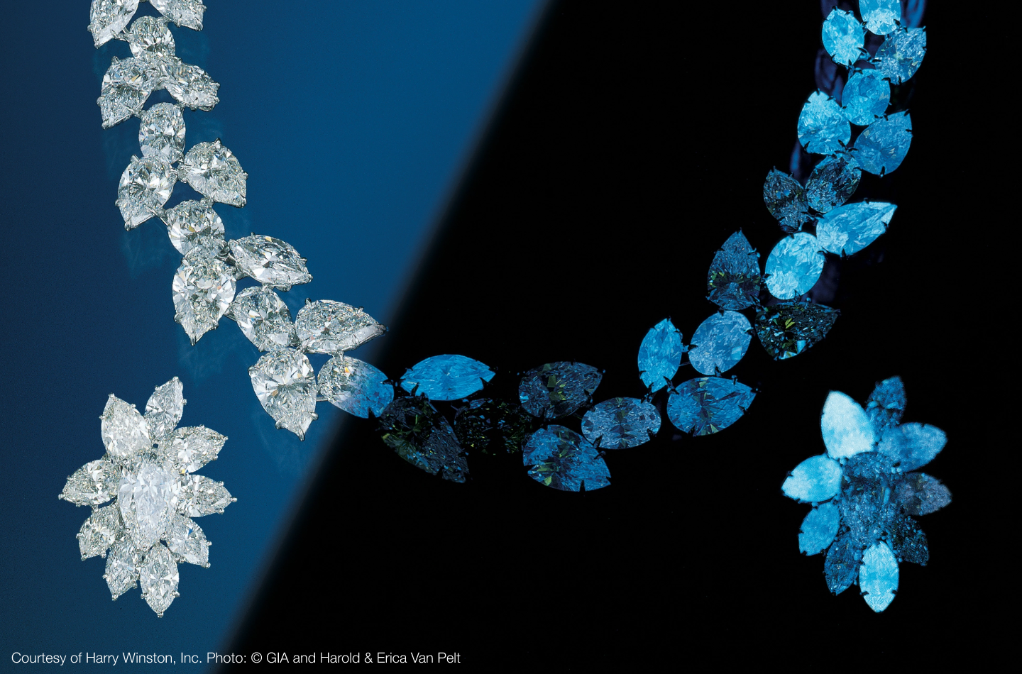 Diamond necklace showing normal light vs UV fluorescence - Courtesy of Harry Winston